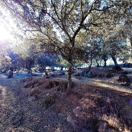 Casa Rural Gurumelo Aracena Kültér fotó