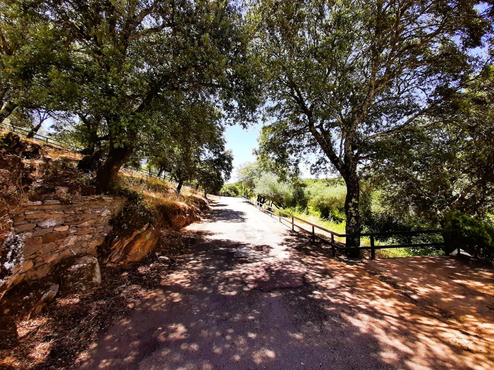 Casa Rural Gurumelo Aracena Kültér fotó