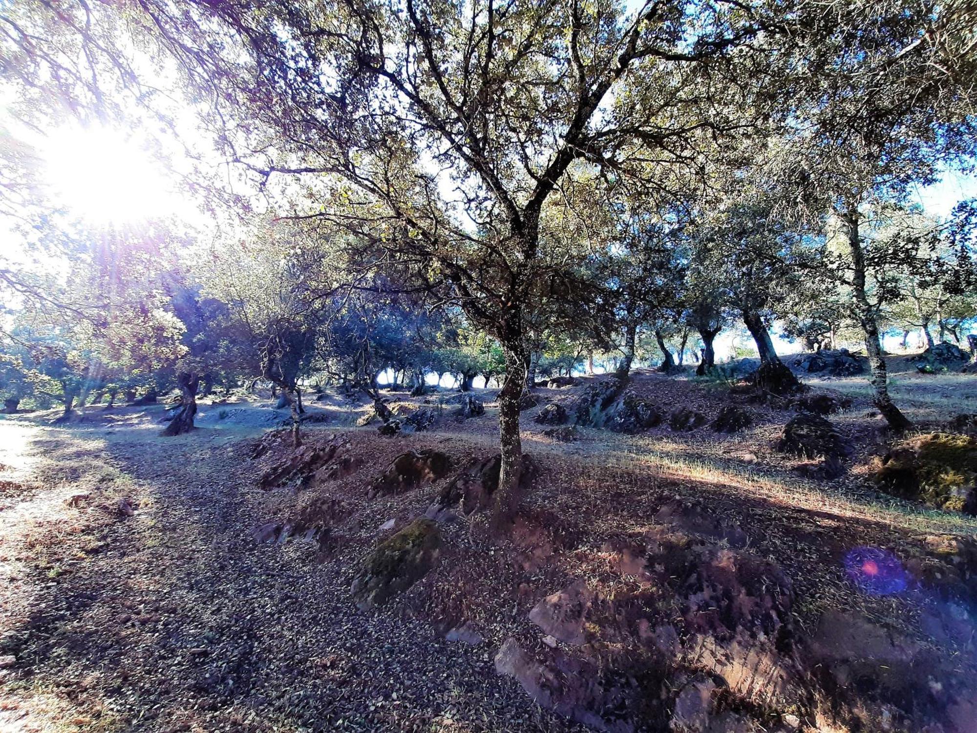 Casa Rural Gurumelo Aracena Kültér fotó